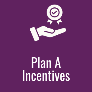 Plan A Incentives PDF button